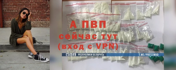 СК Ельня
