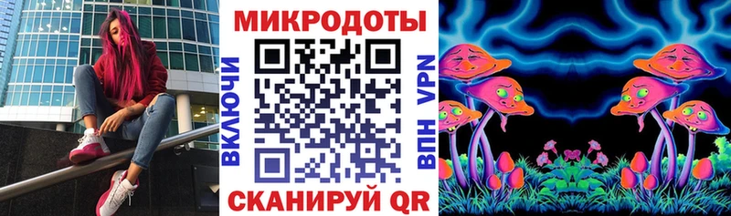 Псилоцибиновые грибы Psilocybine cubensis  Батайск 